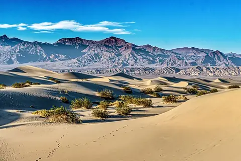 Desert