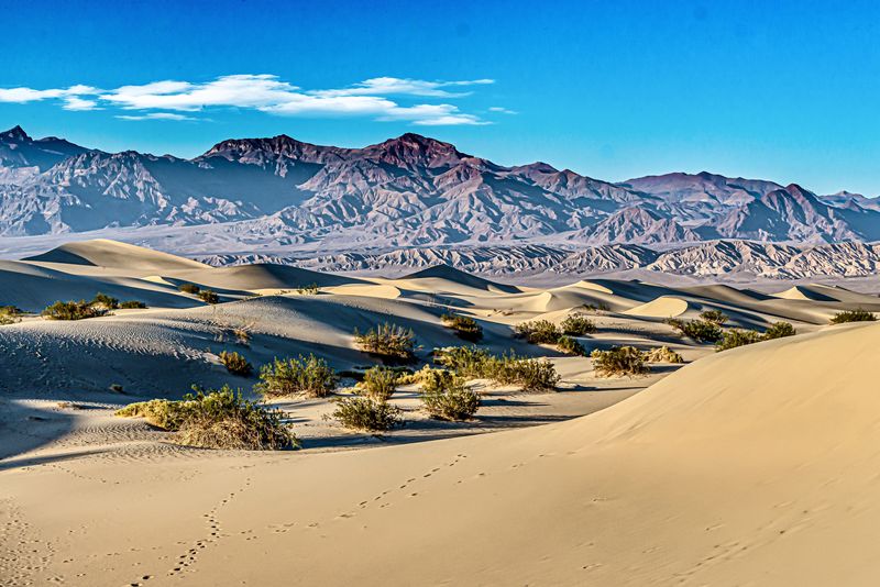 Desert